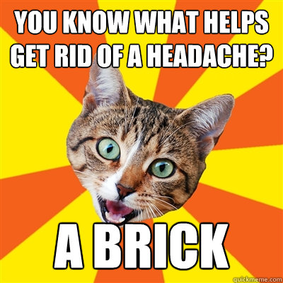 you know what helps get rid of a headache? a brick  Bad Advice Cat