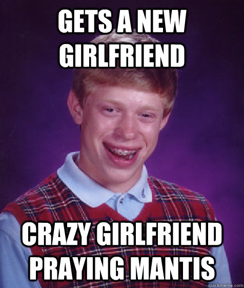 gets a new girlfriend crazy girlfriend praying mantis  Bad Luck Brian