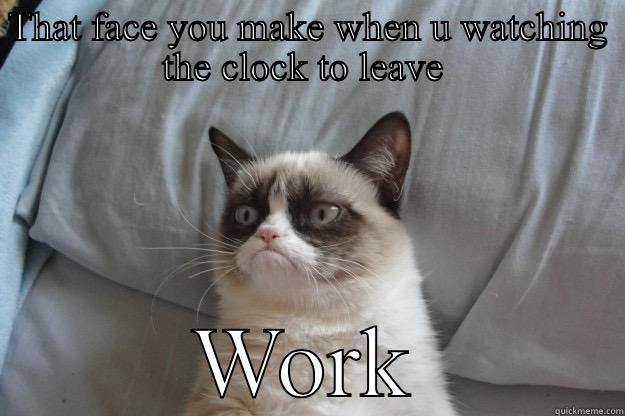 THAT FACE YOU MAKE WHEN U WATCHING THE CLOCK TO LEAVE  WORK Grumpy Cat