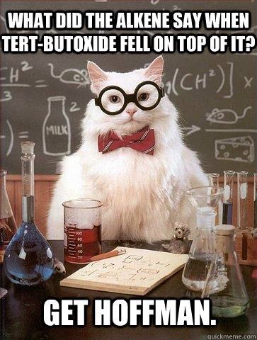 What did the alkene say when tert-butoxide fell on top of it? Get hoffman. - What did the alkene say when tert-butoxide fell on top of it? Get hoffman.  Chemistry Cat