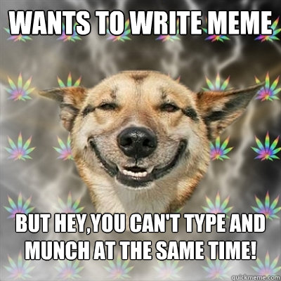 Wants to write meme but hey,you can't type and munch at the same time!  Stoner Dog