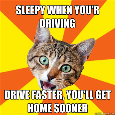 Sleepy when you'r driving Drive faster, you'll get home sooner  Bad Advice Cat