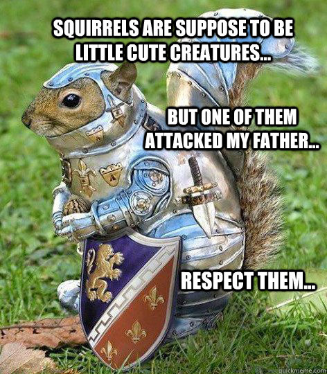 Squirrels are suppose to be little cute creatures... But one of them attacked my father... Respect them...  Squirrel