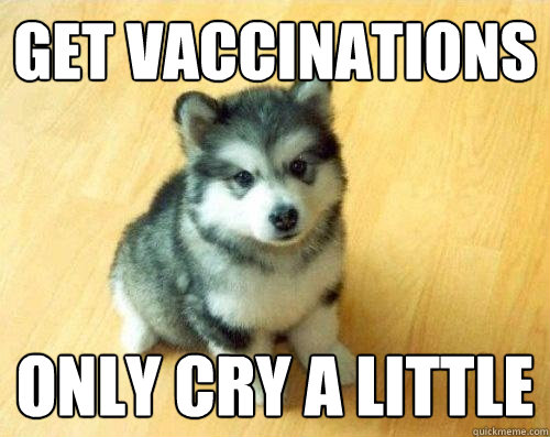 get vaccinations only cry a little  Baby Courage Wolf