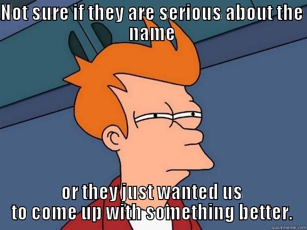 NOT SURE IF THEY ARE SERIOUS ABOUT THE NAME OR THEY JUST WANTED US TO COME UP WITH SOMETHING BETTER. Futurama Fry