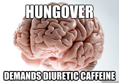 hungover demands diuretic caffeine  Scumbag Brain