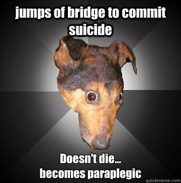 jumps of bridge to commit suicide Doesn't die... 
becomes paraplegic   Depression Dog