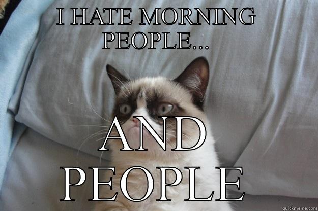 I HATE MORNING PEOPLE... AND PEOPLE Grumpy Cat