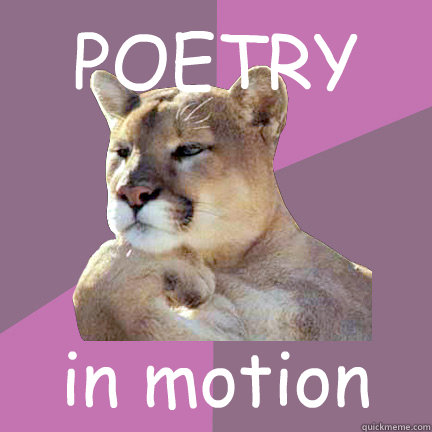 POETRY in motion  Poetry Puma