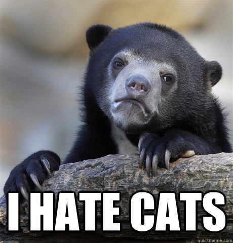  I hate cats  Confession Bear