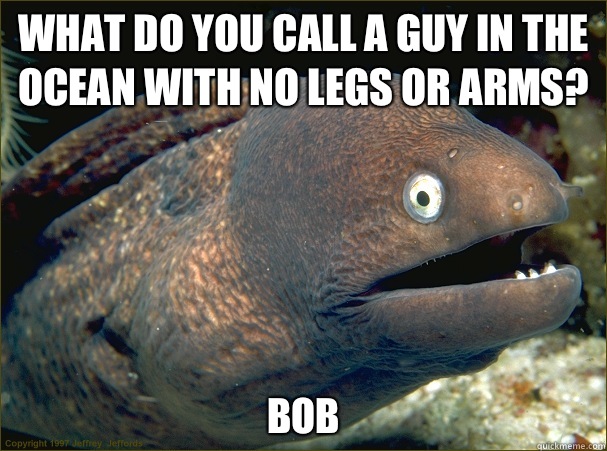 What do you call a guy in the ocean with no legs or arms? Bob  Bad Joke Eel