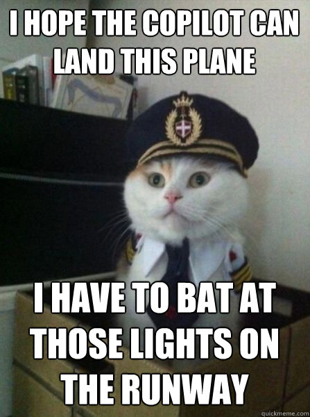 i hope the copilot can land this plane i have to bat at those lights on the runway - i hope the copilot can land this plane i have to bat at those lights on the runway  Captain kitteh