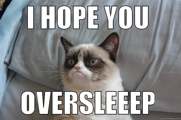 I HOPE YOU OVERSLEEEP Grumpy Cat