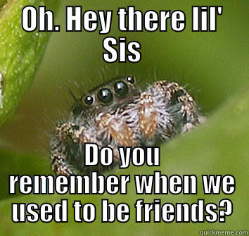 OH. HEY THERE LIL' SIS DO YOU REMEMBER WHEN WE USED TO BE FRIENDS? Misunderstood Spider