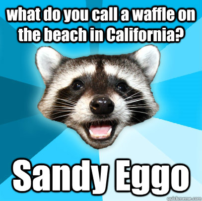 what do you call a waffle on the beach in California? Sandy Eggo  Lame Pun Coon