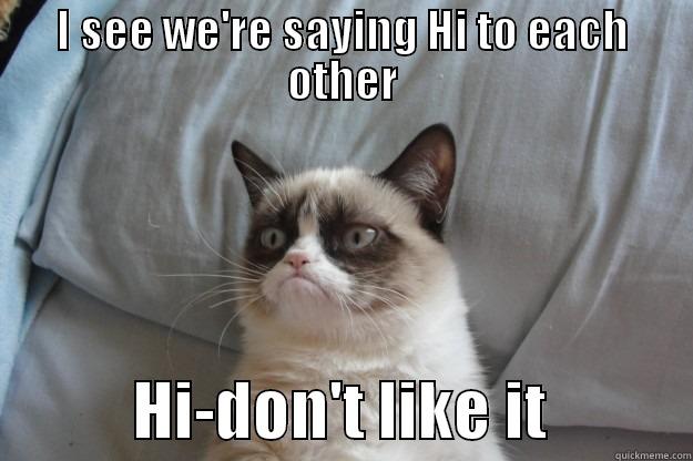 I SEE WE'RE SAYING HI TO EACH OTHER            HI-DON'T LIKE IT           Grumpy Cat