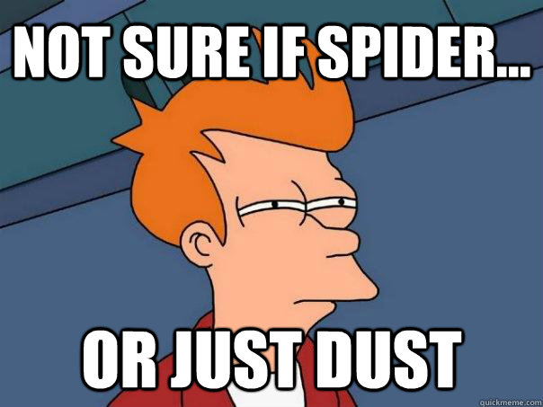 Not sure if spider... Or just dust - Not sure if spider... Or just dust  Futurama Fry