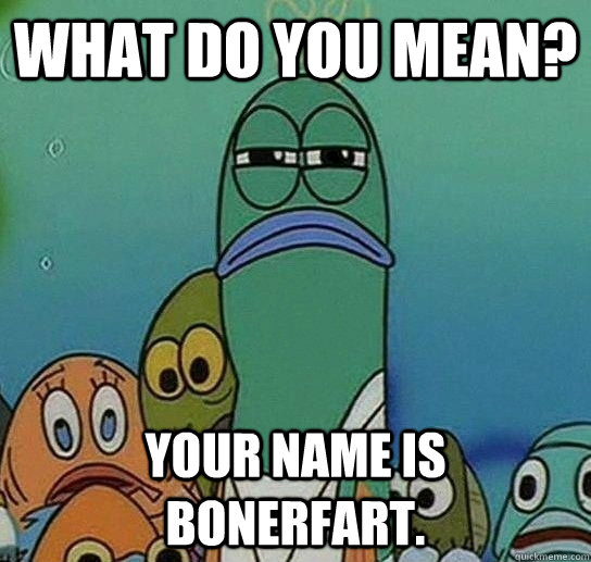 what do you mean?  your name is bonerfart.  Serious fish SpongeBob