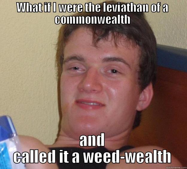 WHAT IF I WERE THE LEVIATHAN OF A COMMONWEALTH AND CALLED IT A WEED-WEALTH 10 Guy