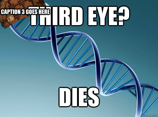 Third eye? dies Caption 3 goes here  Scumbag Genetics