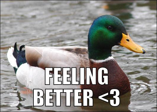  FEELING BETTER <3 Actual Advice Mallard