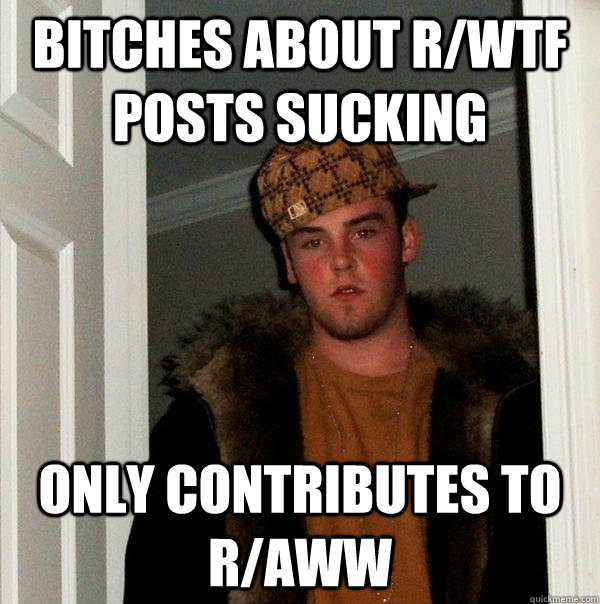 Bitches about r/wtf posts sucking Only contributes to r/aww  Scumbag Steve