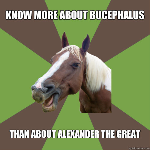 know more about bucephalus than about alexander the great - know more about bucephalus than about alexander the great  Fyequestrians.tumblr.com