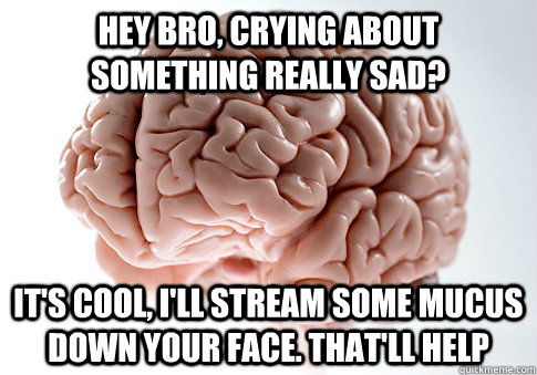 HEY BRO, CRYING ABOUT SOMETHING REALLY SAD? IT'S COOL, I'LL STREAM SOME MUCUS DOWN YOUR FACE. THAT'LL HELP   Scumbag Brain