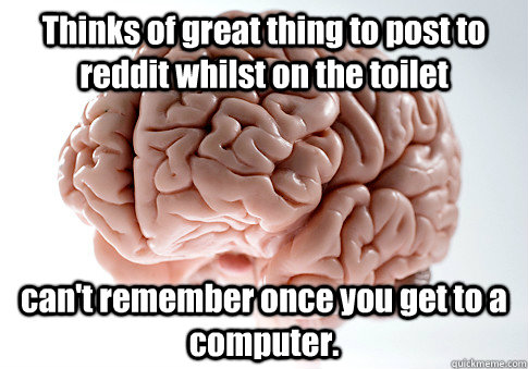 Thinks of great thing to post to reddit whilst on the toilet can't remember once you get to a computer.  Scumbag Brain