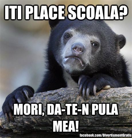 ITI PLACE SCOALA? MORI, DA-TE-N PULA MEA! facebook.com/DivertismentGratis - ITI PLACE SCOALA? MORI, DA-TE-N PULA MEA! facebook.com/DivertismentGratis  Confession Bear