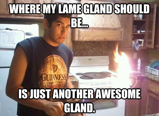 where my lame gland should be... is just another awesome gland.  Jebus