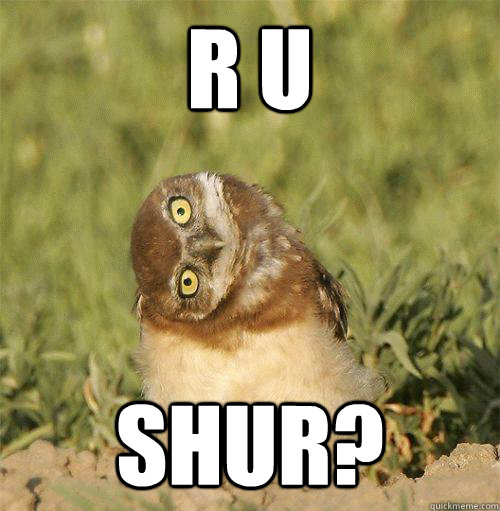 R U SHUR? - R U SHUR?  R U SHUR OWL