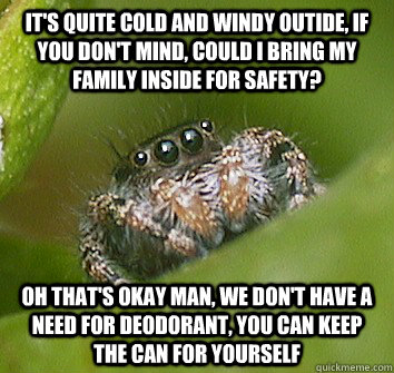 It's quite cold and windy outide, if you don't mind, could I bring my family inside for safety? Oh that's okay man, we don't have a need for deodorant, you can keep the can for yourself   Misunderstood Spider