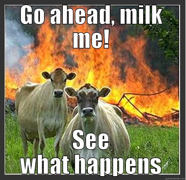 Holy cows - GO AHEAD, MILK ME! SEE WHAT HAPPENS Evil cows