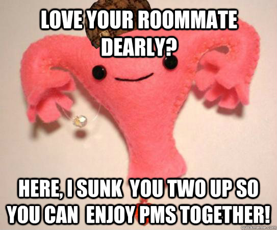 Love your roommate dearly? Here, I sunk  you two up so you can  enjoy PMS together!  Scumbag Uterus