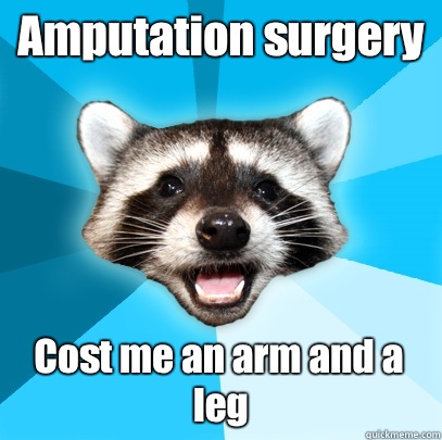 Amputation surgery Cost me an arm and a leg  Lame Pun Coon