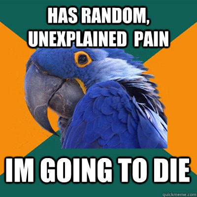Has random, unexplained  pain im going to die - Has random, unexplained  pain im going to die  Paranoid Parrot