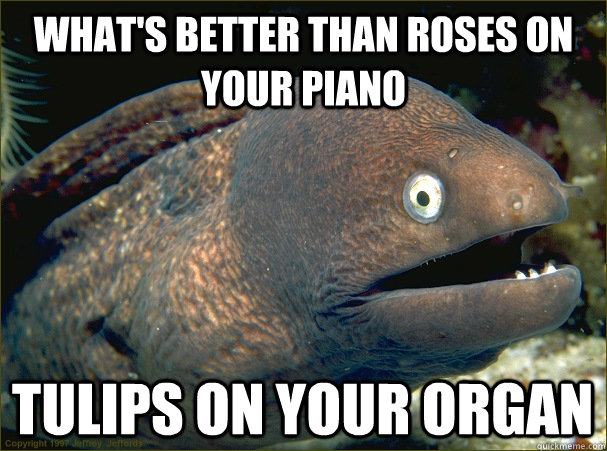 What's better than roses on your piano Tulips on your organ  Bad Joke Eel