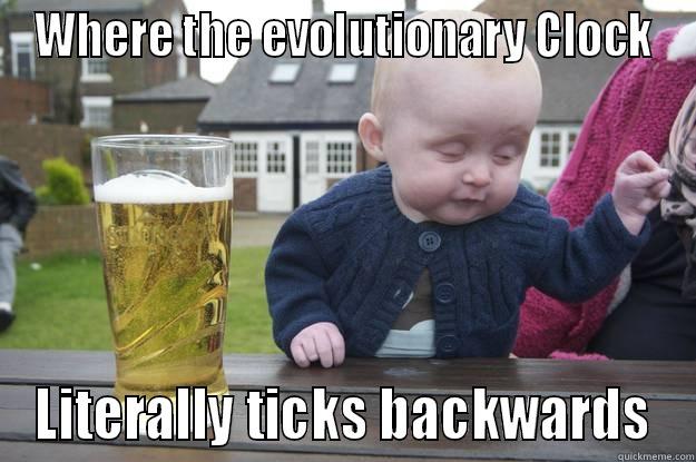 WHERE THE EVOLUTIONARY CLOCK LITERALLY TICKS BACKWARDS drunk baby