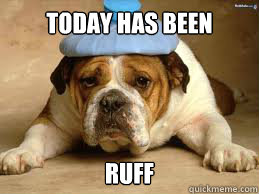 Today has been Ruff - Today has been Ruff  Awwwwww