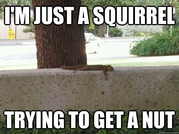 I'm just a squirrel  Trying to get a nut - I'm just a squirrel  Trying to get a nut  Misunderstood Squirrel
