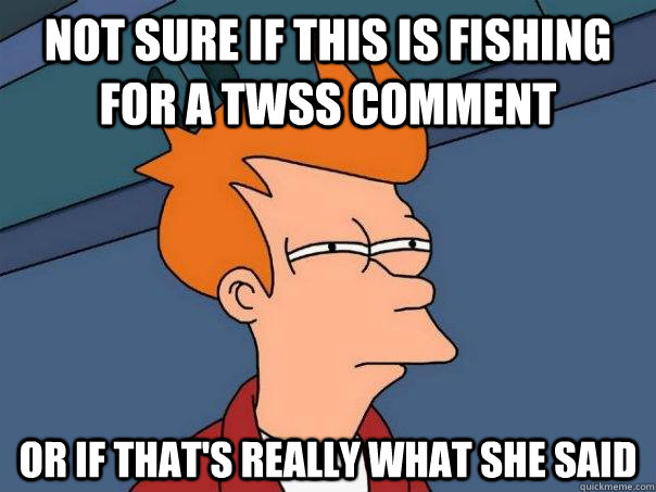 Not sure if this is fishing for a TWSS comment Or if that's really what she said  Futurama Fry