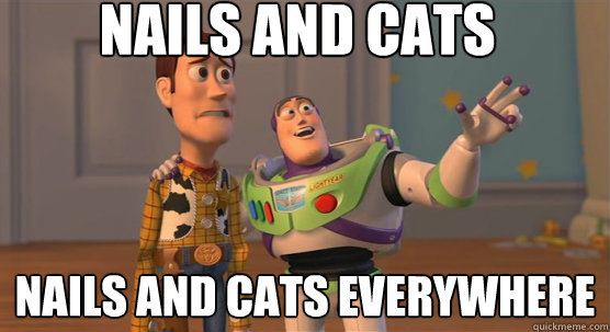 Nails and cats Nails and cats everywhere  Toy Story Everywhere