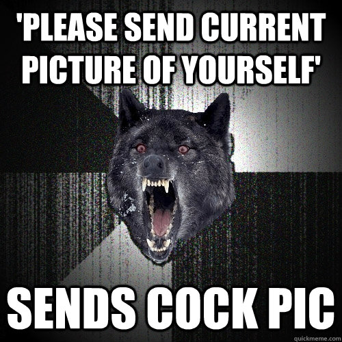 'PLEASE SEND CURRENT PICTURE OF YOURSELF' SENDS COCK PIC  Insanity Wolf