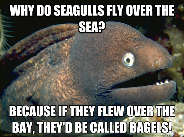 Why do seagulls fly over the sea? Because if they flew over the bay, they'd be called bagels!  Bad Joke Eel