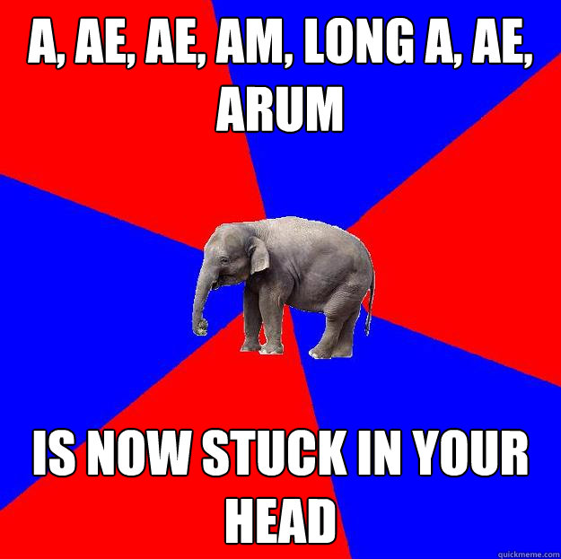 A, AE, AE, AM, LONG A, AE, ARUM IS NOW STUCK IN YOUR HEAD   Foreign language elephant