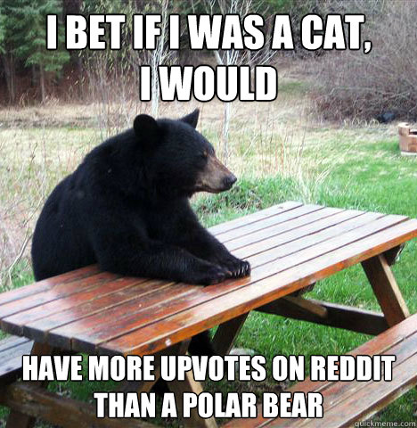 i bet if i was a cat, 
i would have more upvotes on reddit than a polar bear  waiting bear