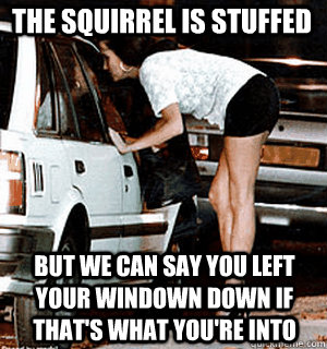 The squirrel is stuffed But we can say you left your windown down if that's what you're into  Karma Whore