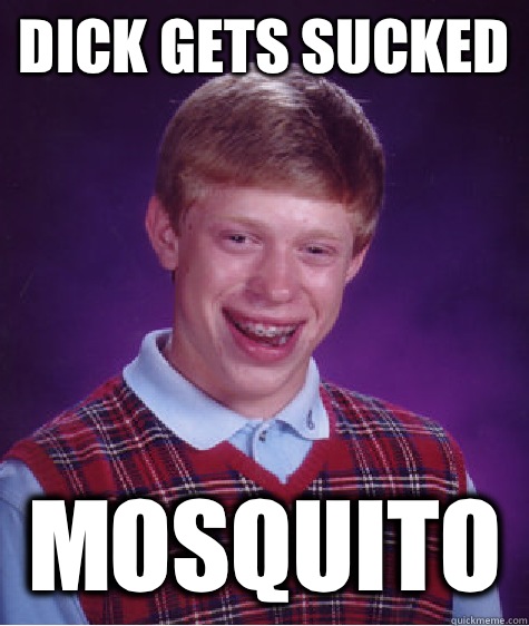 Dick gets sucked Mosquito   Bad Luck Brian