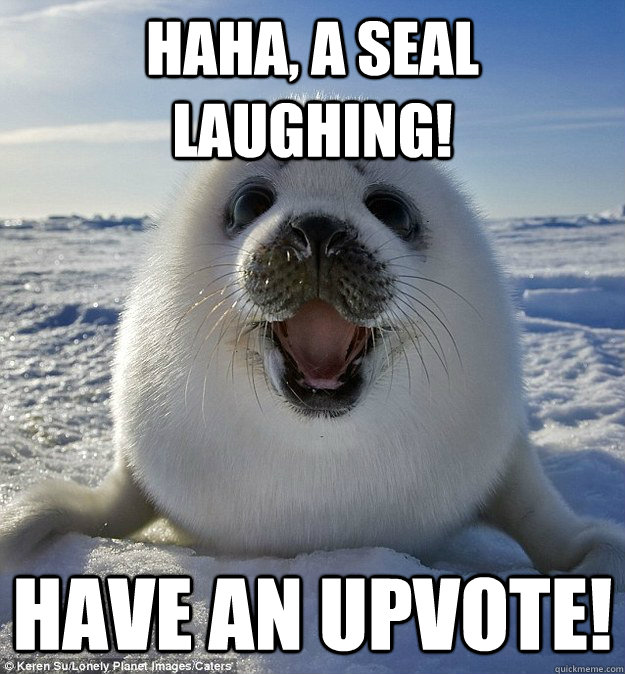 haha, a seal laughing! Have an upvote! - haha, a seal laughing! Have an upvote!  Easily Pleased Seal
